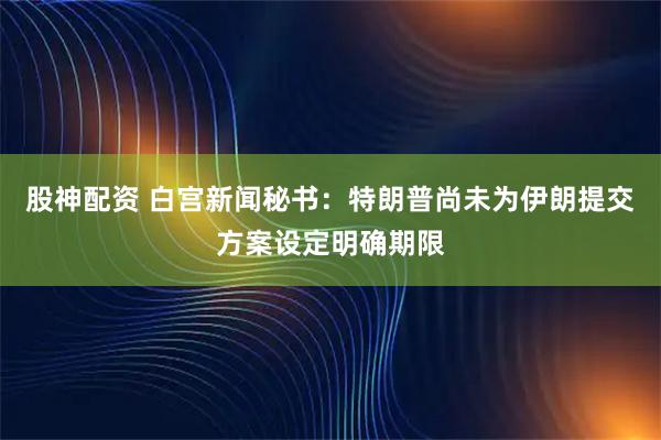 股神配资 白宫新闻秘书：特朗普尚未为伊朗提交方案设定明确期限