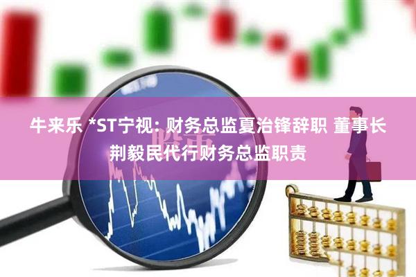 牛来乐 *ST宁视: 财务总监夏治锋辞职 董事长荆毅民代行财务总监职责
