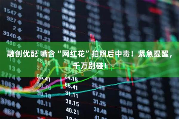 融创优配 嘴含“网红花”拍照后中毒！紧急提醒，千万别碰！